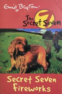 Image of SECRET SEVEN FIREWORK