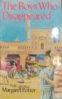 Image of The Boys Who Disappeared