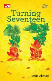 Image of TURNING SEVENTEEN