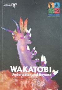 Image of Wakatobi Underwater and Beyond